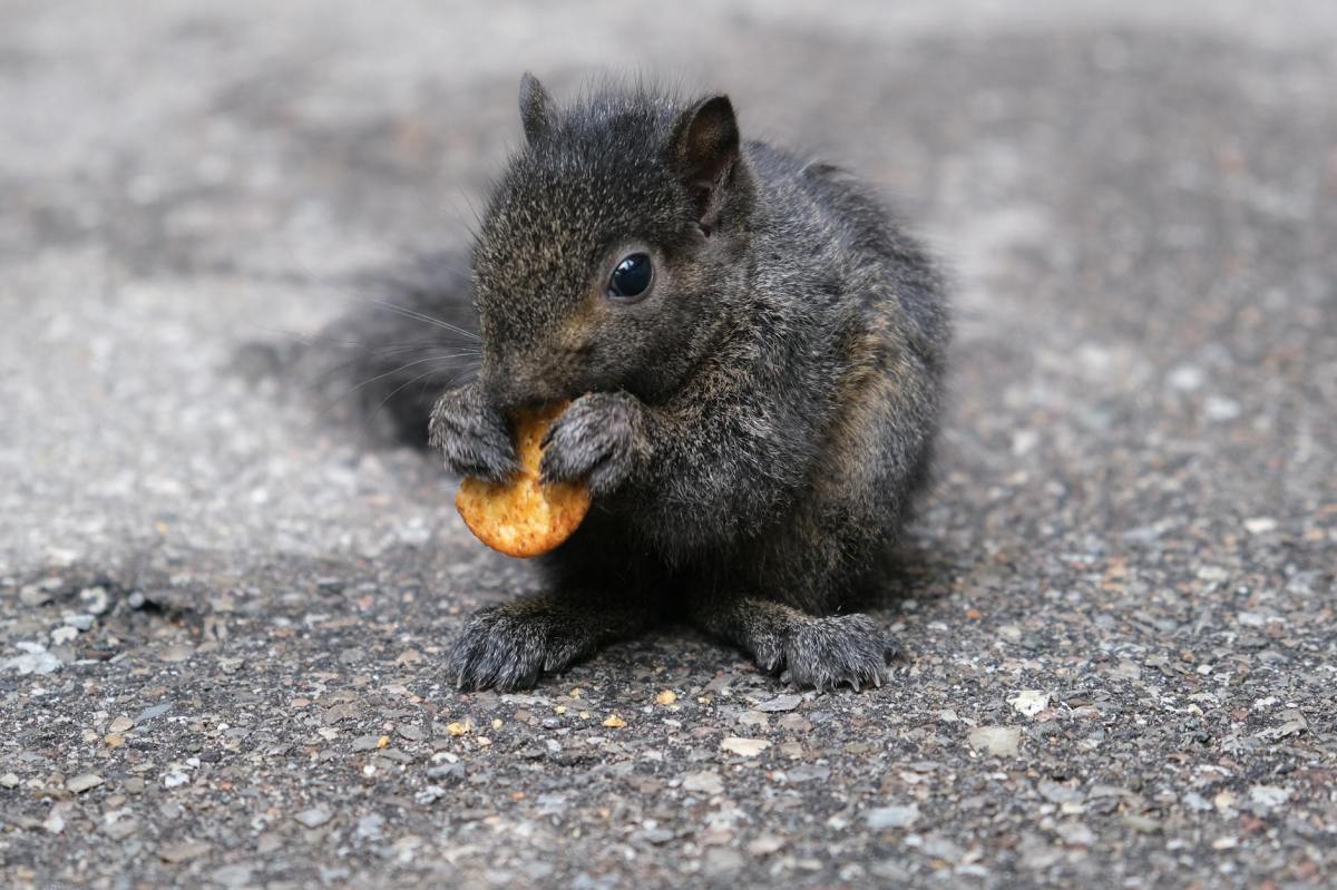 Have you fed&nbsp;me?