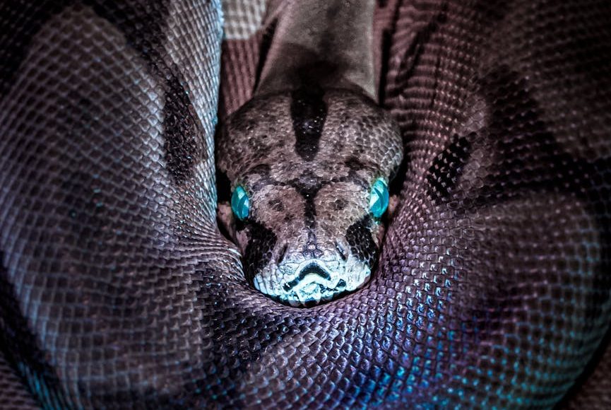 Beware of the&nbsp;Subtlety