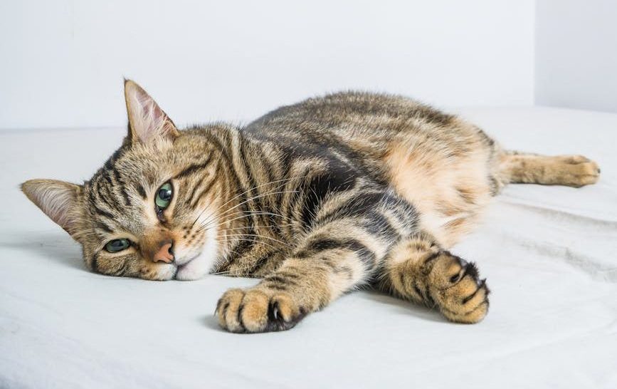 Rest and Rejuvenate!