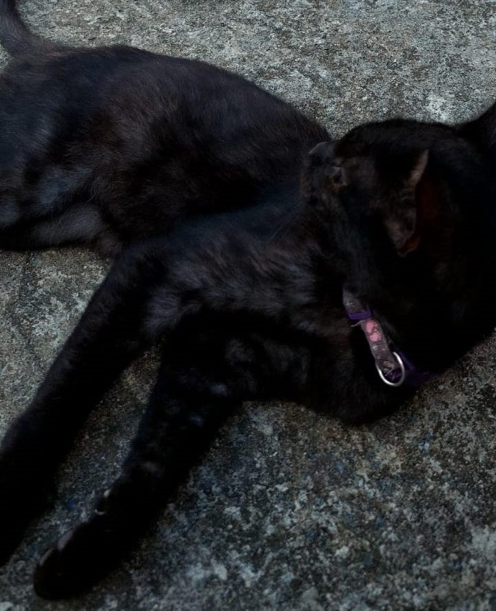 Superstitiousness is foolishness!